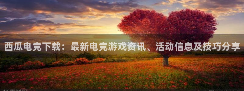 火狐电竞网站：西瓜电竞下载：最新电竞游戏资讯、活动信息及技巧分享