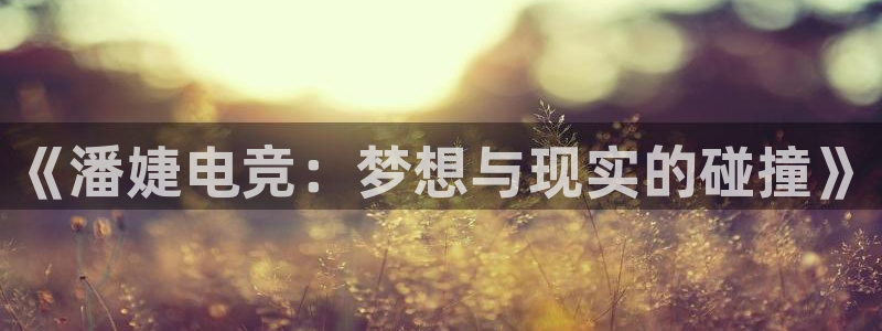 火狐电竞网页版：《潘婕电竞：梦想与现实的碰撞》