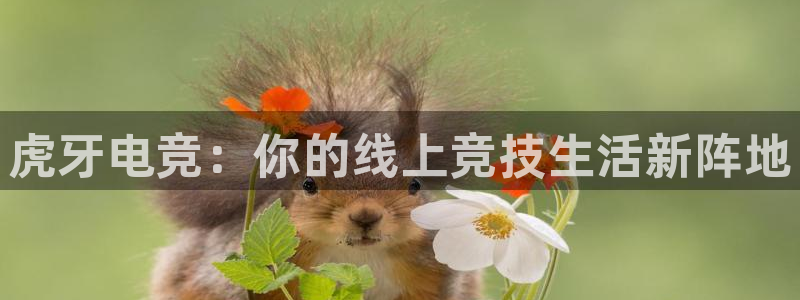 火狐电竞体育平台：虎牙电竞：你的线上竞技生活新阵地