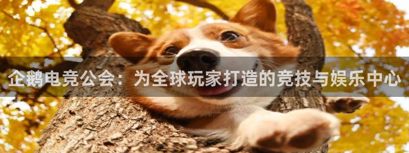 火狐电竞网页版：企鹅电竞公会：为全球玩家打造的竞技与娱乐中心