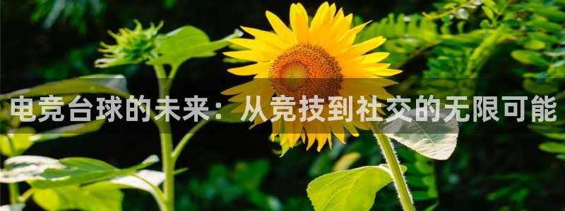火狐电竞官方网站：电竞台球的未来：从竞技到社交的无限可能