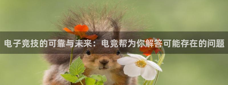 火狐电竞官网入口：电子竞技的可靠与未来：电竞帮为你解答可能存在的问题
