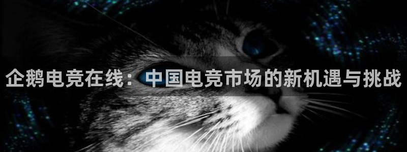 火狐电竞APP首页：企鹅电竞在线：中国电竞市场的新机遇与挑战