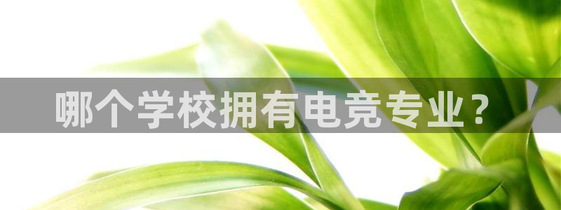 火狐电竞怎么样：哪个学校拥有电竞专业？