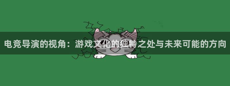 火狐电竞app官网：电竞导演的视角：游戏文化的独特之处与未来可能的方向