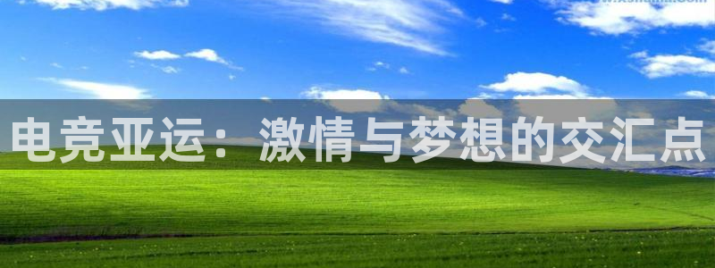 火狐电竞入口：电竞亚运：激情与梦想的交汇点