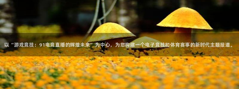 火狐电竞入口：以“游戏竞技：91电竞直播的辉煌未来”为中心，为您构建一个电子竞技和体育赛事的新时代主题报道。