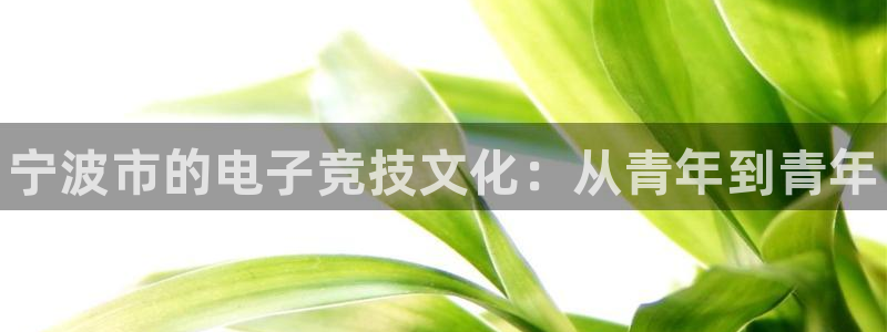 火狐电竞网页版：宁波市的电子竞技文化：从青年到青年