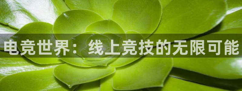 火狐电竞app官网：电竞世界：线上竞技的无限可能