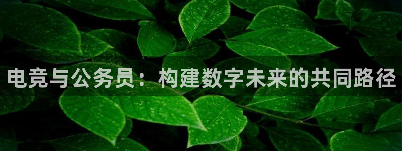 火狐电竞怎么样：电竞与公务员：构建数字未来的共同路径