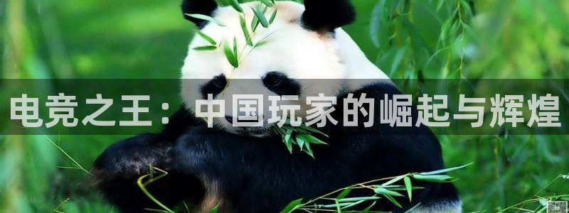 火狐电竞app官网：电竞之王：中国玩家的崛起与辉煌