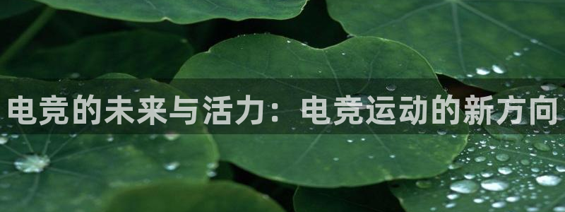 火狐电竞官网：电竞的未来与活力：电竞运动的新方向