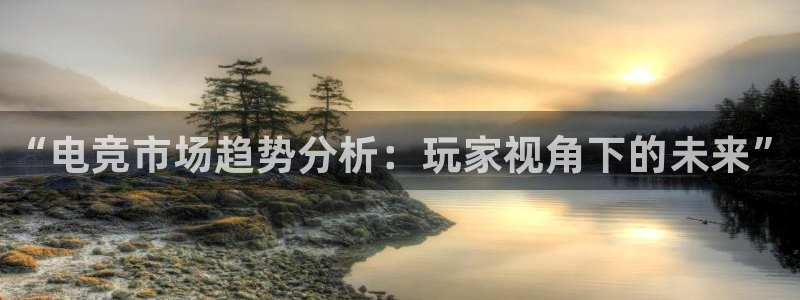 火狐电竞怎么样：“电竞市场趋势分析：玩家视角下的未来”