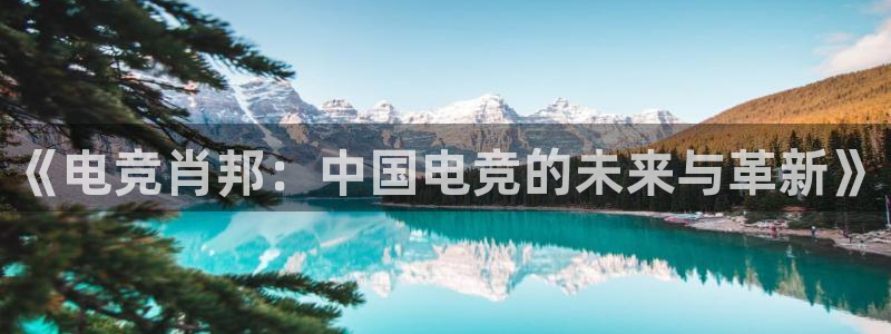 火狐电竞平台app下载：《电竞肖邦：中国电竞的未来与革新》