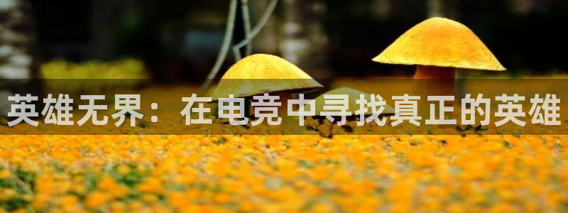 火狐电竞网页版入口：英雄无界：在电竞中寻找真正的英雄