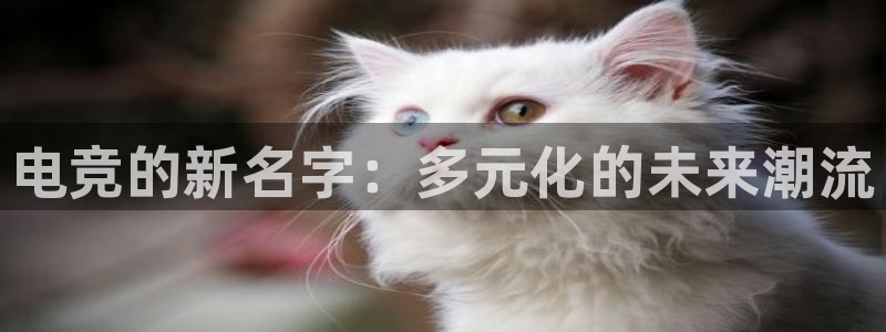 火狐电竞首页在哪：电竞的新名字：多元化的未来潮流