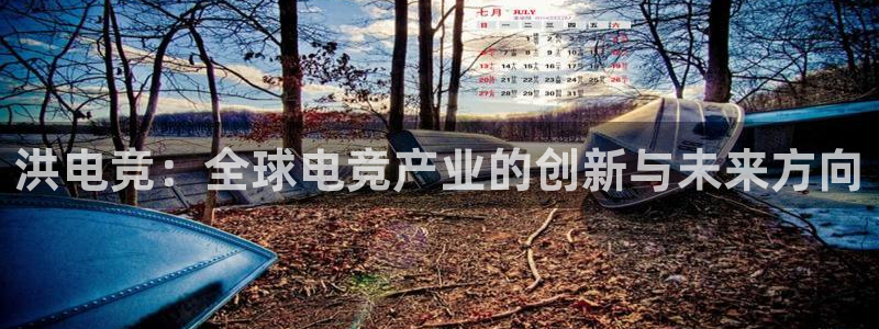 火狐电竞：洪电竞：全球电竞产业的创新与未来方向
