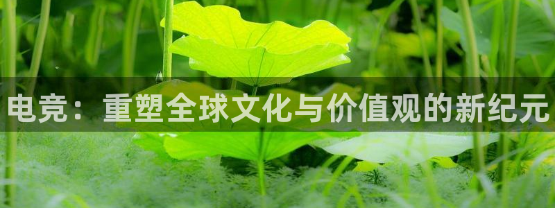 火狐电竞app-官网下载：电竞：重塑全球文化与价值观的新纪元
