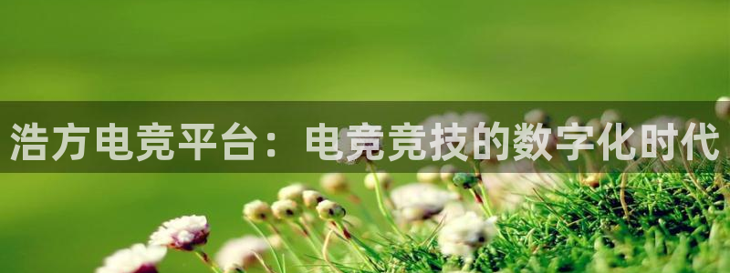 火狐电竞平台官网：浩方电竞平台：电竞竞技的数字化时代