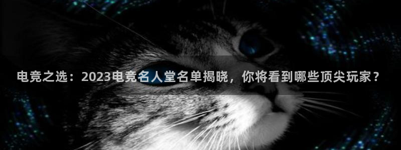 火狐电竞官网：电竞之选：2023电竞名人堂名单揭晓，你将看到哪些顶尖玩家？