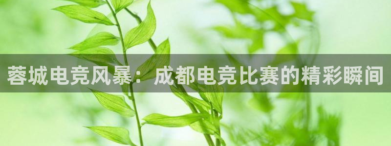 火狐电竞APP：蓉城电竞风暴：成都电竞比赛的精彩瞬间