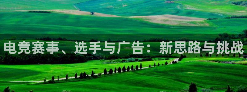 火狐电竞体育：电竞赛事、选手与广告：新思路与挑战