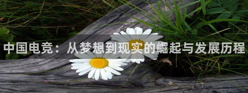 火狐电竞ios：中国电竞：从梦想到现实的崛起与发展历程
