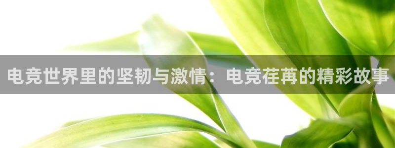 火狐电竞在线入口官网：电竞世界里的坚韧与激情：电竞荏苒的精彩故事