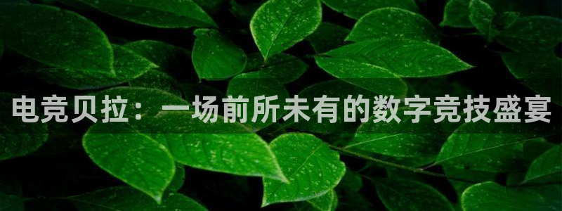 火狐电竞体育：电竞贝拉：一场前所未有的数字竞技盛宴