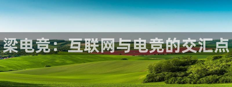 火狐电竞能提现么：梁电竞：互联网与电竞的交汇点