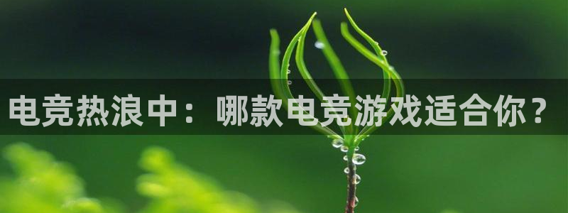 火狐电竞：电竞热浪中：哪款电竞游戏适合你？