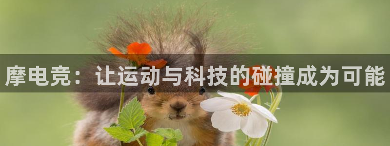 火狐电竞体育：摩电竞：让运动与科技的碰撞成为可能