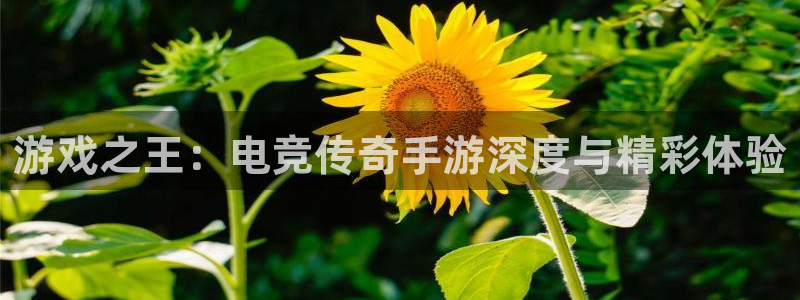 火狐电竞体育官网：游戏之王：电竞传奇手游深度与精彩体验