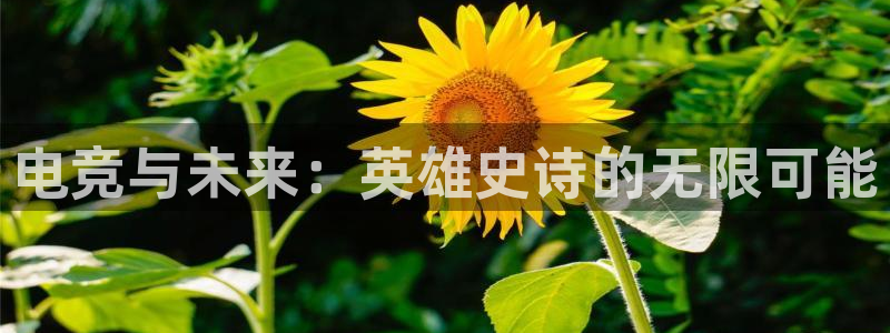 火狐电竞：电竞与未来：英雄史诗的无限可能