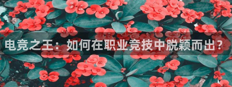火狐电竞app-官网下载：电竞之王：如何在职业竞技中脱颖而出？