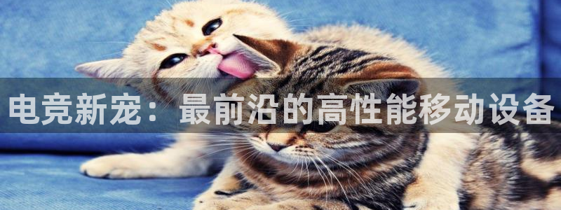 火狐电竞宾馆：电竞新宠：最前沿的高性能移动设备