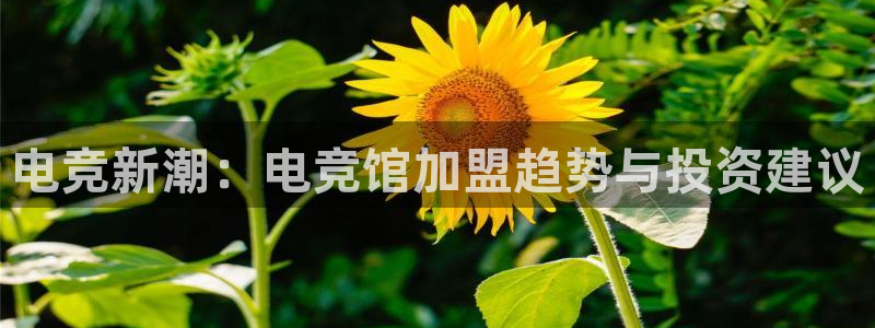 火狐电竞app-官网下载：电竞新潮：电竞馆加盟趋势与投资建议