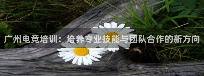火狐电竞网页：广州电竞培训：培养专业技能与团队合作的新方向
