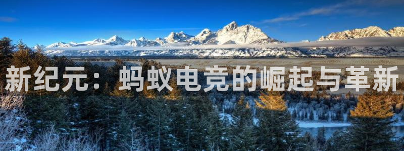 火狐电竞网站：新纪元：蚂蚁电竞的崛起与革新