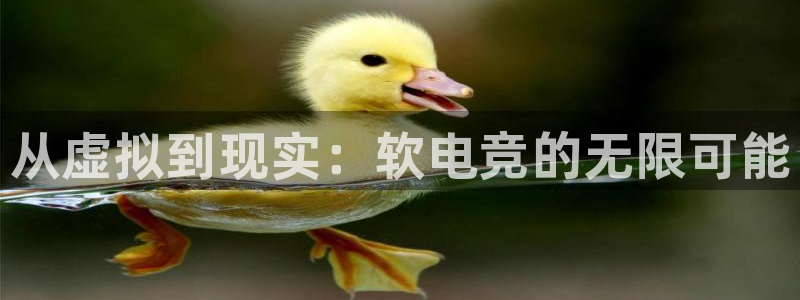 火狐电竞app官网：从虚拟到现实：软电竞的无限可能